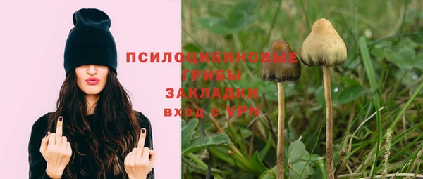 ГАЛЛЮЦИНОГЕННЫЕ ГРИБЫ Артём