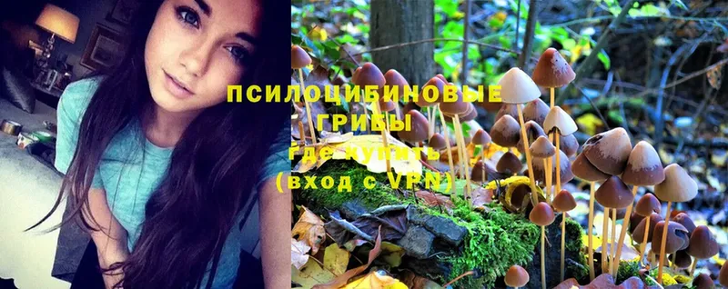 Псилоцибиновые грибы MAGIC MUSHROOMS Губкин