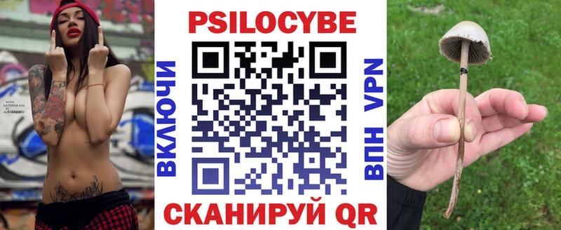 Псилоцибиновые грибы ЛСД  Губкин 