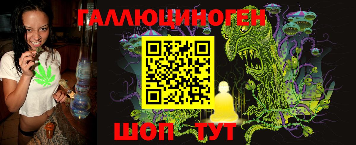 Псилоцибиновые грибы GOLDEN TEACHER Губкин