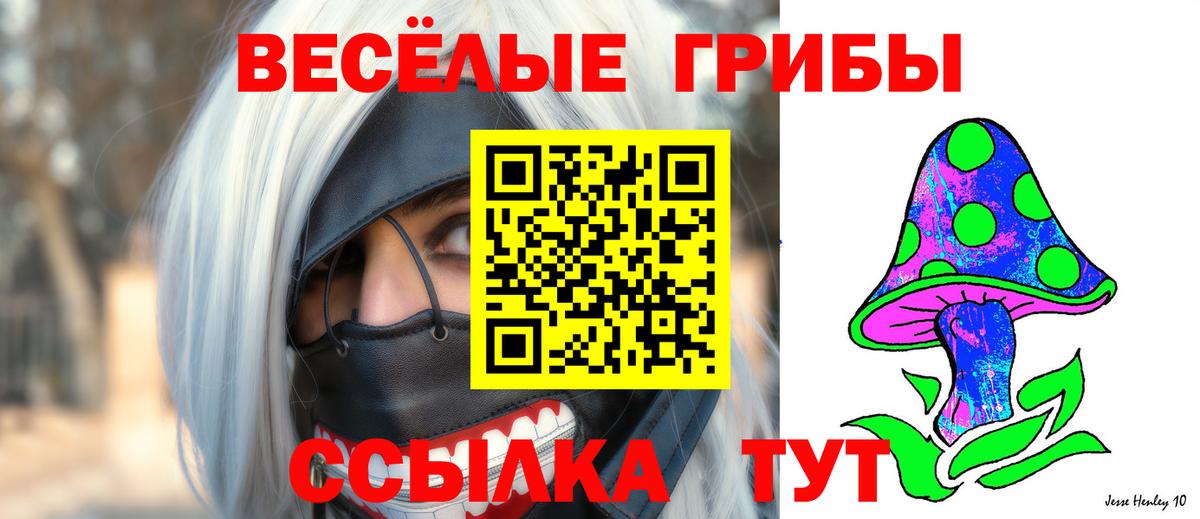 Галлюциногенные грибы MAGIC MUSHROOMS Губкин
