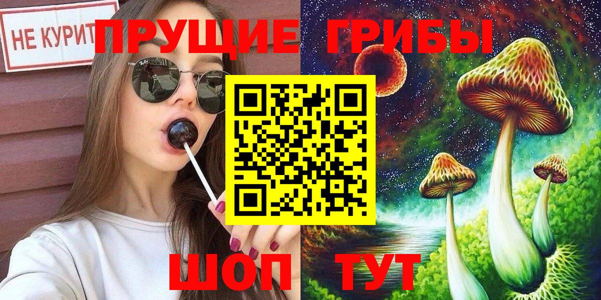 Галлюциногенные грибы Magic Shrooms  Псилоцибиновые грибы Psilocybe  Губкин 