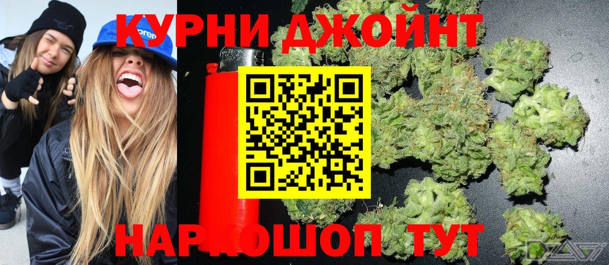 Каннабис Ganja  Губкин  МАРИХУАНА сатива  МАРИХУАНА сатива 